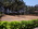 Ground for Big parties, Sea Crest Beach Resort,Dahanu Dahanu Beach Hotel,Dahanu Beach Resort